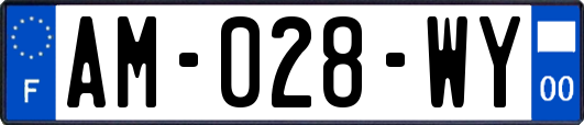 AM-028-WY
