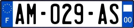 AM-029-AS