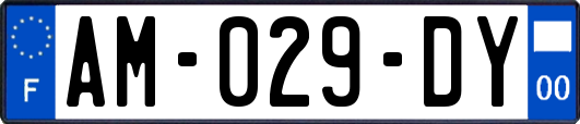 AM-029-DY