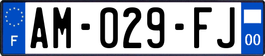 AM-029-FJ