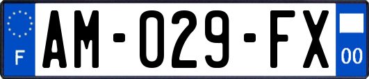 AM-029-FX