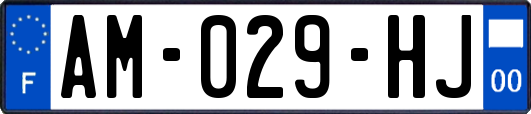 AM-029-HJ