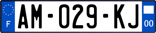 AM-029-KJ