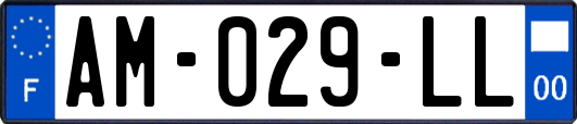 AM-029-LL