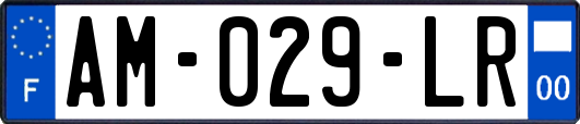 AM-029-LR