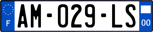 AM-029-LS