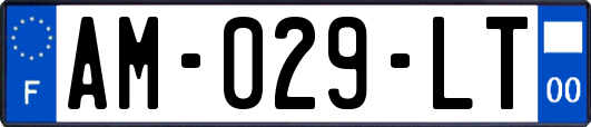 AM-029-LT