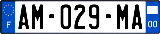 AM-029-MA