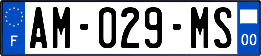 AM-029-MS