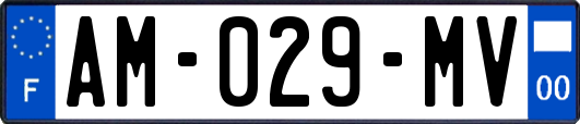 AM-029-MV