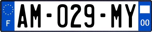 AM-029-MY