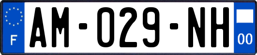AM-029-NH