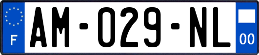 AM-029-NL