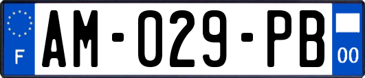 AM-029-PB