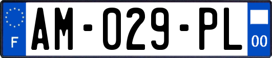 AM-029-PL