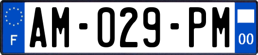 AM-029-PM