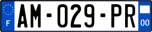 AM-029-PR