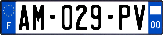 AM-029-PV