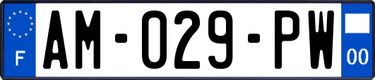 AM-029-PW