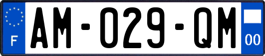 AM-029-QM