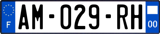 AM-029-RH