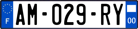 AM-029-RY