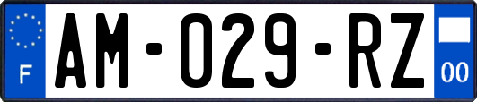 AM-029-RZ