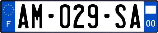 AM-029-SA