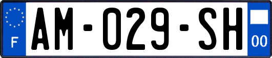 AM-029-SH