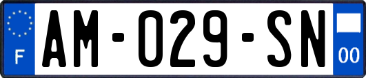 AM-029-SN