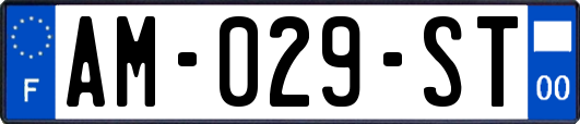 AM-029-ST