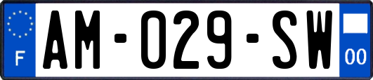 AM-029-SW