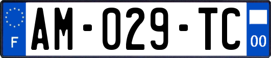 AM-029-TC