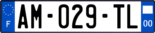 AM-029-TL