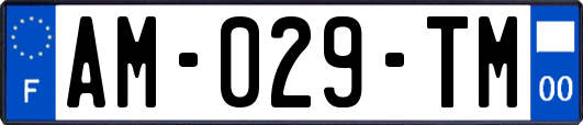 AM-029-TM
