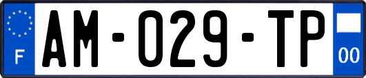 AM-029-TP