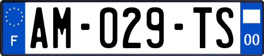 AM-029-TS