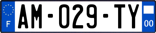 AM-029-TY