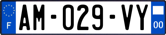 AM-029-VY