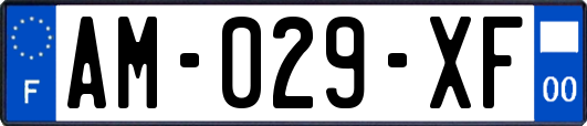 AM-029-XF