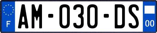 AM-030-DS