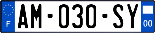AM-030-SY