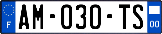 AM-030-TS