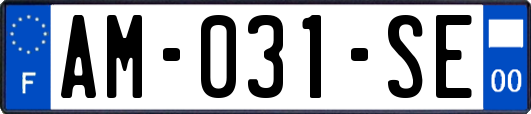 AM-031-SE