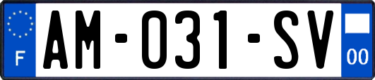AM-031-SV