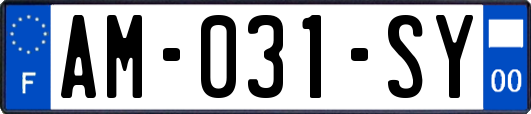 AM-031-SY