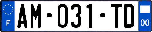 AM-031-TD
