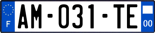 AM-031-TE