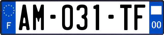 AM-031-TF