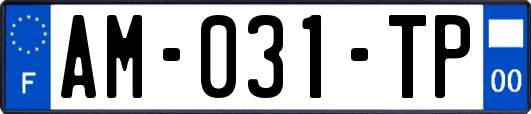 AM-031-TP